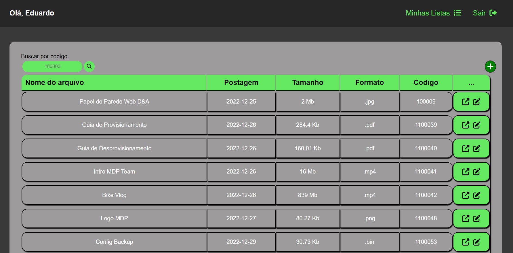 Preview do projeto 1